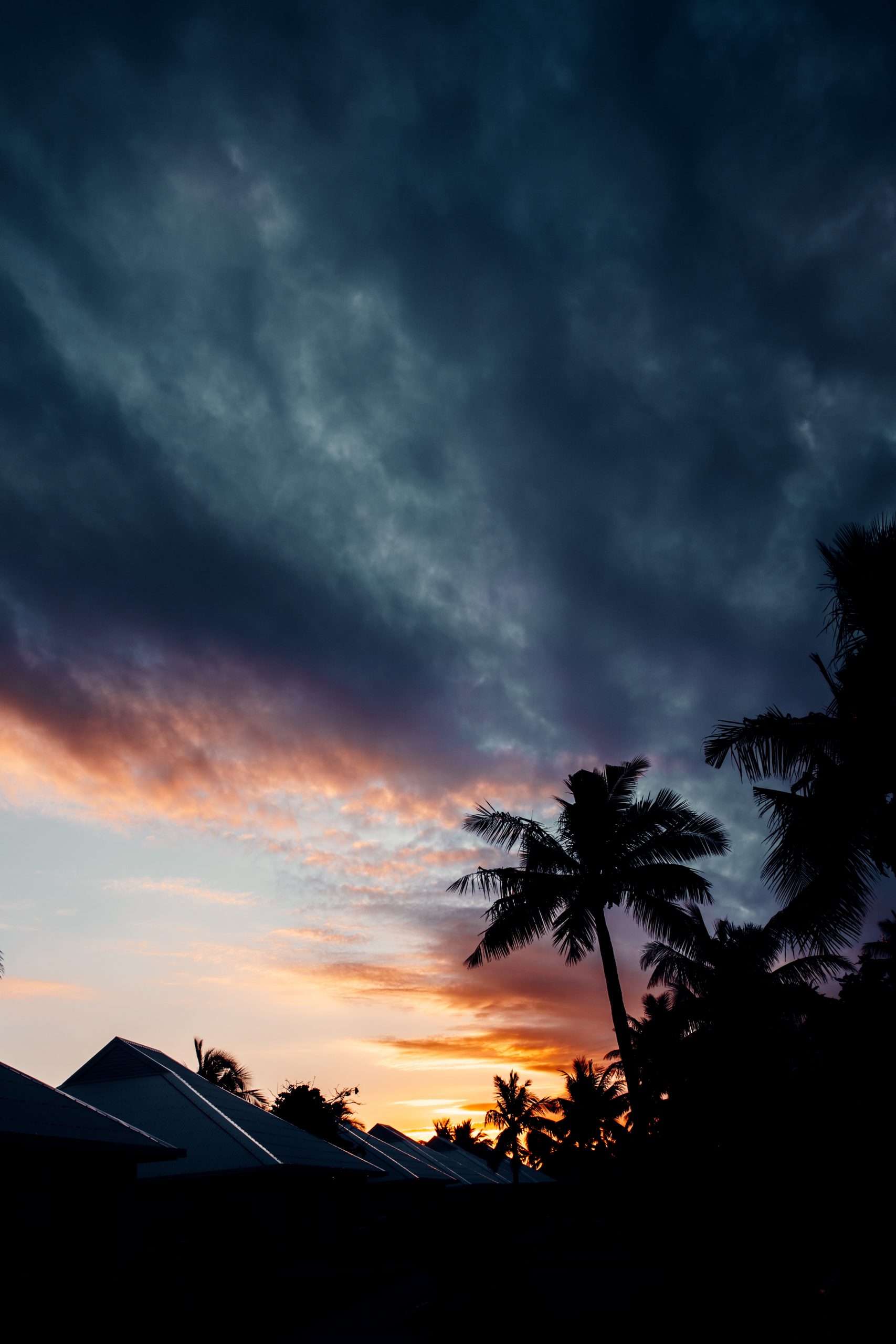 palm tree in front of sunset on an island getaway in fiji