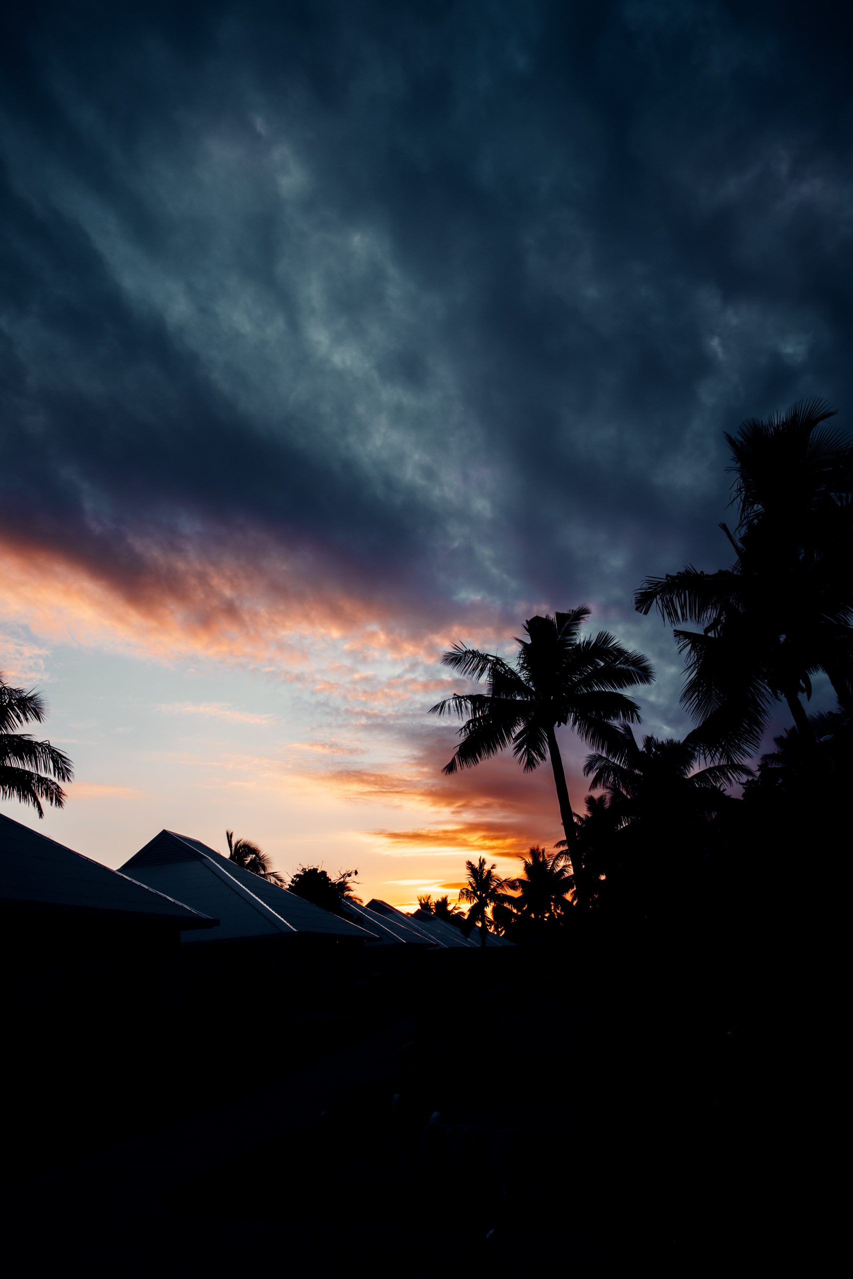 palm tree in front of sunset on an island getaway in fiji